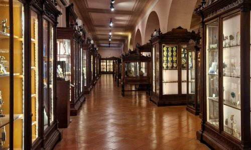 MUSEO ANATOMICO MUSA